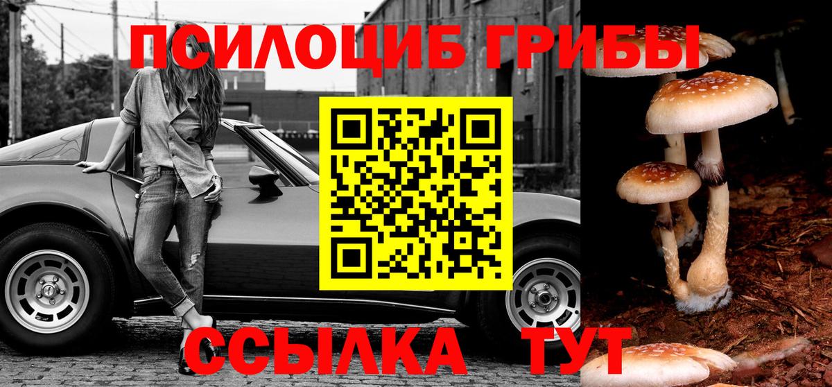 Галлюциногенные грибы MAGIC MUSHROOMS  Псилоцибиновые грибы Psilocybine cubensis  Нурлат  Вход с VPN 