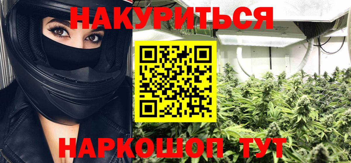 Канабис White Widow  Марихуана планчик  Марихуана конопля  Нурлат  Вход с VPN 